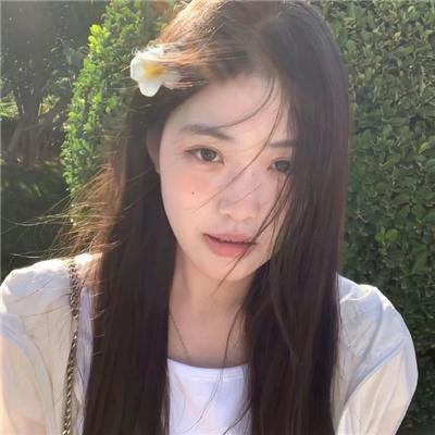 真相半白